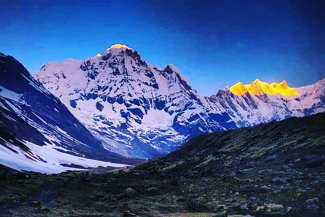 11-Day Hike Tour to Annapurna Base Camp Bliss in Kathmandu - Meals