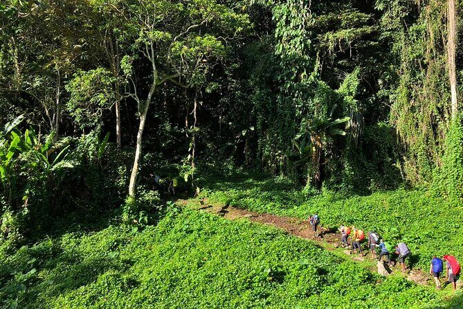 11 Day Kokoda Trek Australian and Local Guides - Practical Details and Tips