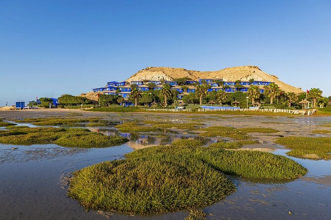 11-DAY Odyssey Departing From Marrakech to Dakhla - Good To Know