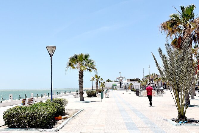 11-DAY Odyssey Departing From Marrakech to Dakhla - Transportation Information