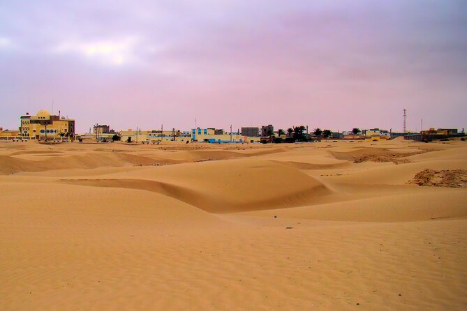 11-DAY Odyssey Departing From Marrakech to Dakhla - Optional Excursions