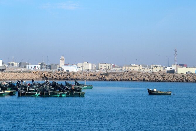 11-DAY Odyssey Departing From Marrakech to Dakhla - Travel Tips