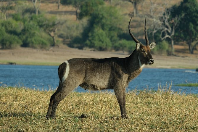 11 Day Private Camping Safari in Botswana With Airport Pickup - Good To Know