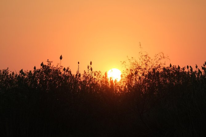 11 Day Private Camping Safari in Botswana With Airport Pickup - Meeting and Pickup Points