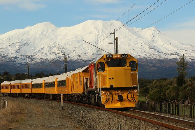 11 Day Shared Rail Tour of NZ North Island - Taranaki and the Tawhiti Museum
