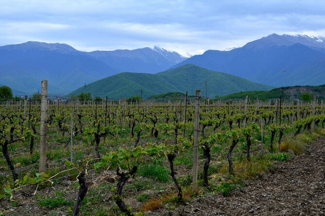 11-Day Small-Group Great Georgian Discovery Tour - Traveler Information