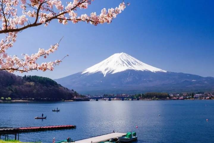 11 Day Southern Japan Cherry Blossom Festival by UME Travel - Hiroshima’s memorials and a sobering museum visit