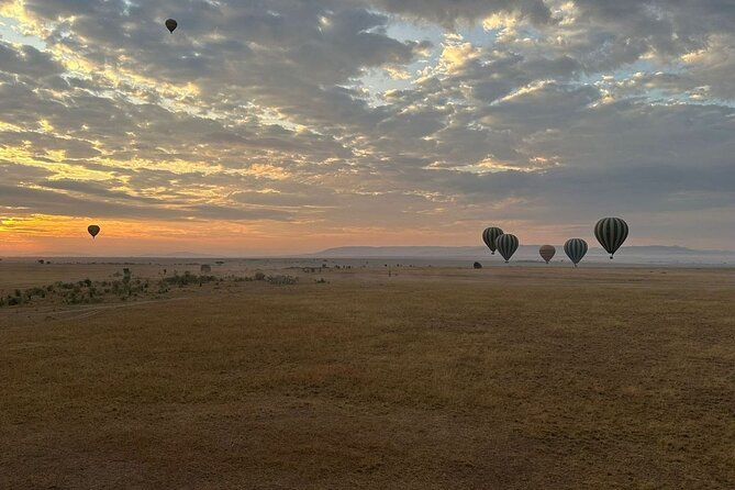 11-Day Wildebeest Migration Serengeti, Mara, Ngorongoro Crater. - Meals and Dining Options