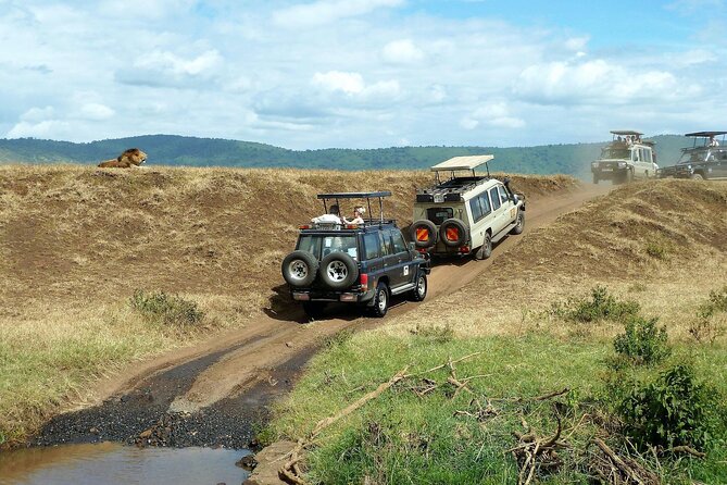 11 Days Aberdares, Samburu, Naivasha, Masai Mara & Diani Luxury Kenya Holiday - Transportation