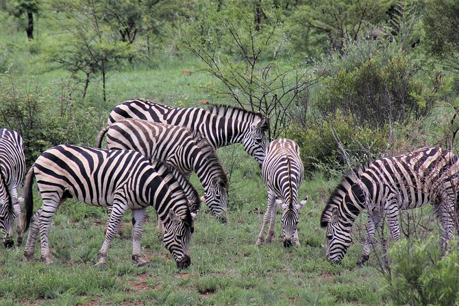 11 Days Aberdares, Samburu, Naivasha, Masai Mara & Diani Luxury Kenya Holiday - Additional Information