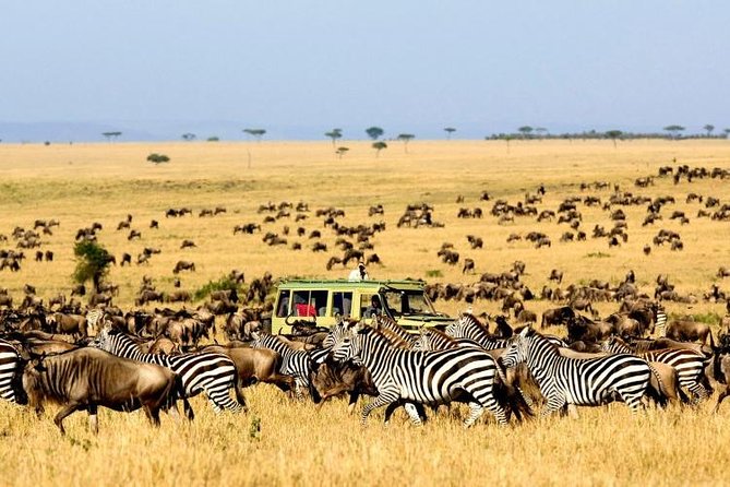 11 Days Best of Kenya &Tanzania Camping Safari - Exciting Activities