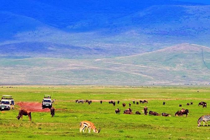 11 Days Best of Kenya &Tanzania Camping Safari - Accommodation Details