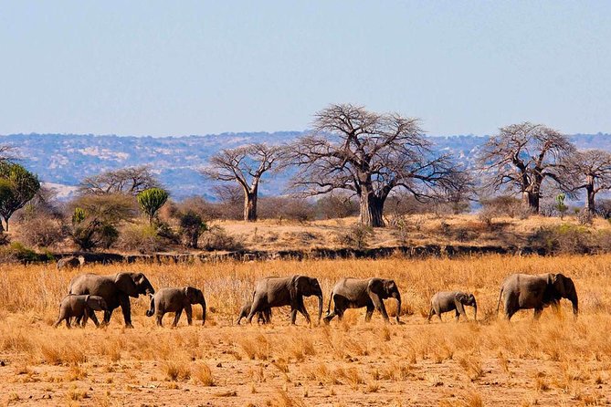 11 Days Classic Kenya-Tanzania Holiday Package - Logistics and Itinerary