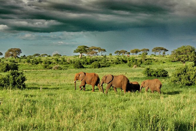 11 Days Classic Kenya-Tanzania Holiday Package - Pricing and Guarantee Information