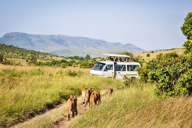 11 Days Classic Kenya-Tanzania Holiday Package - Customer Reviews and Ratings