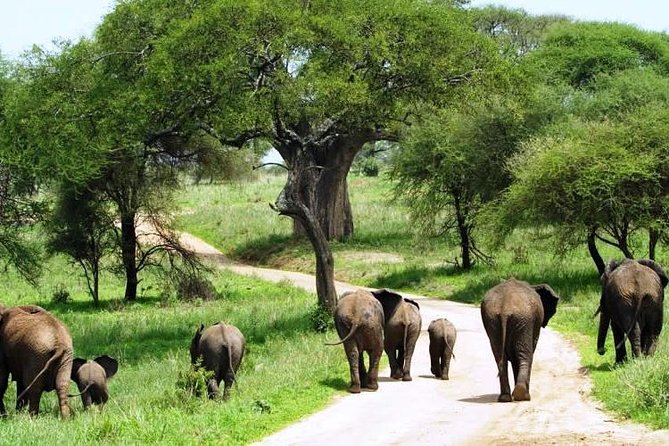11 Days Classic Kenya-Tanzania Holiday Package - Helpful Directions and Tips