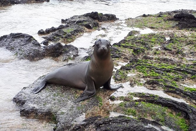 11 Days Galapagos Full Experiences Santa Cruz- Isabela - San Cristobal - Day 6: Journey to San Cristobal
