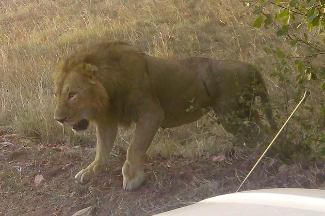 11 Days Guided Group Safari in Kenya And Tanzania - Itinerary Overview