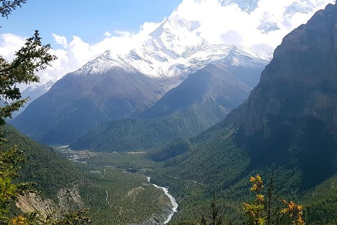 11 Days Himchuli Base Camp Trek From Pokhara - Trek Details