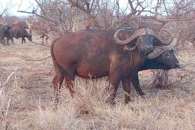 11-Days Kenya Zanzibar Safari - Cancellation Policy