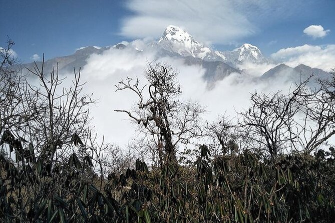 11 Days Khopra and Khayer Lake Trek in Annapurna Region - Trek Overview