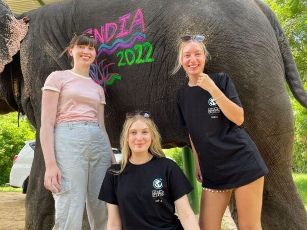 11 Days Luxury Grand Tour of India - Free Cancellation Policy