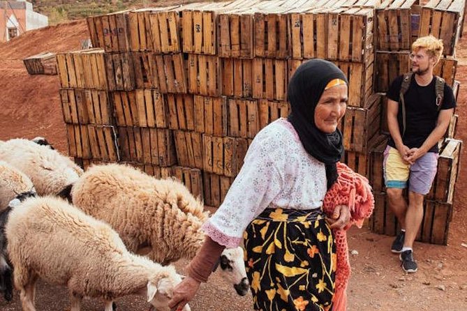 11 Days Morocco Epic Private Tour - Casablanca to Marrakesh via Chaouen & Desert - Meeting and Pickup Details