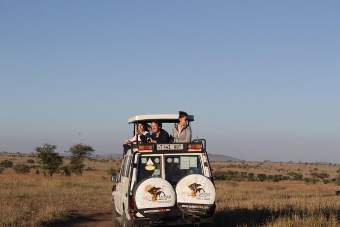 11 Days Mount Kilimanjaro Hiking and Private Tanzania Lodge Safari - Itinerary Details