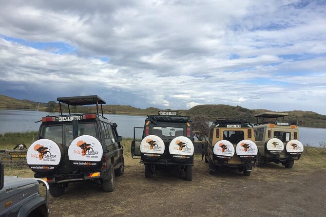 11 Days Mount Kilimanjaro Hiking and Private Tanzania Lodge Safari - Accommodation Information