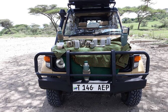 11 Days Mount Kilimanjaro Hiking and Private Tanzania Lodge Safari - Hiking Requirements