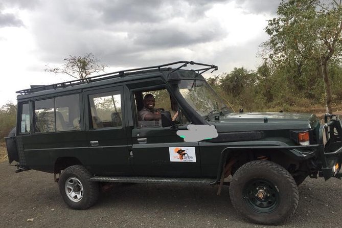 11 Days Mount Kilimanjaro Hiking and Private Tanzania Lodge Safari - Wildlife Encounters