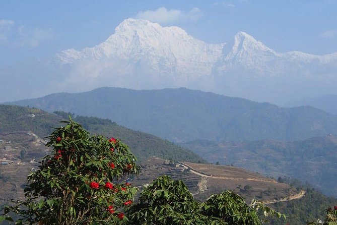 11 Days Panorama Panchase Homestay Trek - Accommodation and Meals