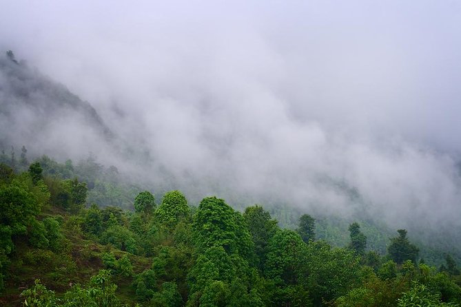 11 Days Panorama Panchase Homestay Trek - Transportation and Pick-up Details