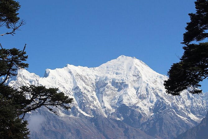 11 Days Shared Langtang Valley Trek - Accommodation and Meals