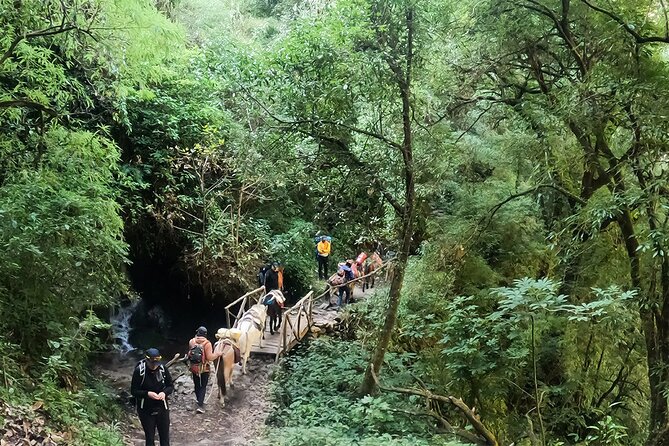 11 Days Shared Langtang Valley Trek - Meeting and Pickup Information