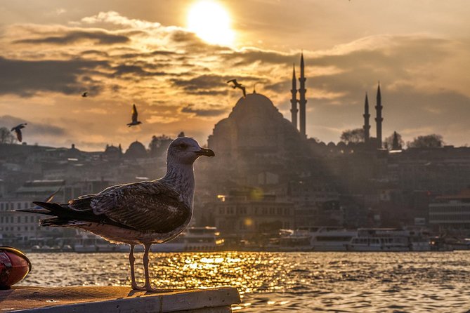 11 Days Special Turkey Tour - Tour Highlights