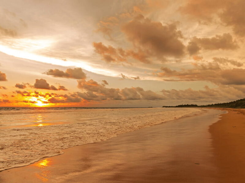 11 Days Sri Lanka Tour With Private Chauffeur & Vehicle - Who Is This Tour Best For?