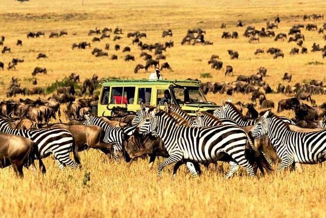 11 Days: Tanzania &Rwanda Safaris (Great Migration and Air Balloon) - Good To Know