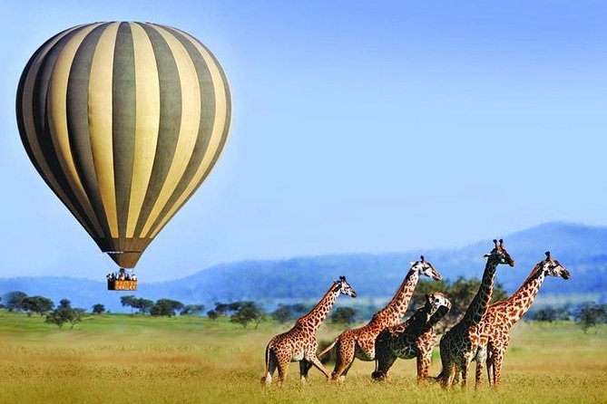 11 Days: Tanzania &Rwanda Safaris (Great Migration and Air Balloon) - Booking and Pricing Information
