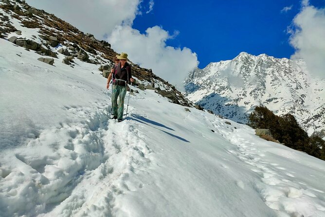 11 Days Tour - Dalai Lama Himalayan Trek - Meals Included