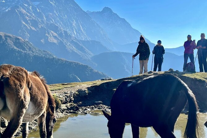 11 Days Tour - Dalai Lama Himalayan Trek - Additional Information