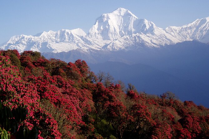 11-Days Trekking in Annapurna Base Camp - Highlights of Annapurna Base Camp