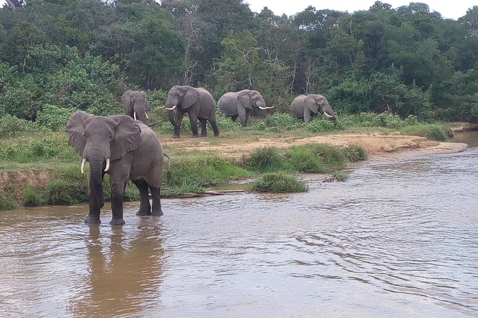 11 Days Uganda +Gorillas - Cultural Immersion Activities