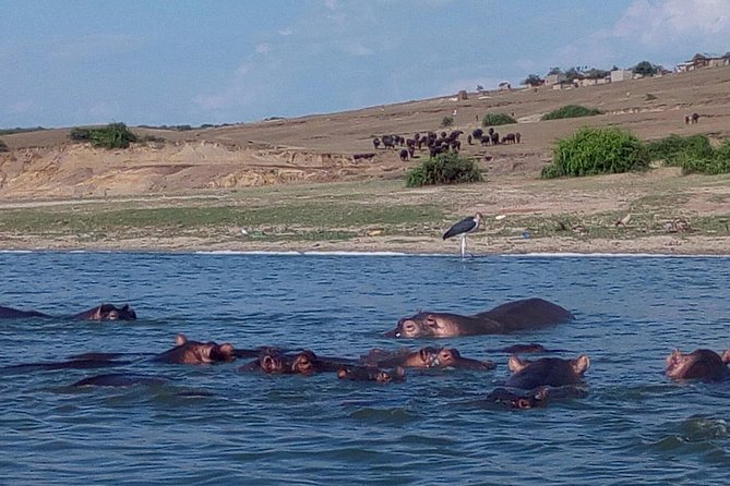 11 Days Uganda +Gorillas - Travel Tips and Recommendations