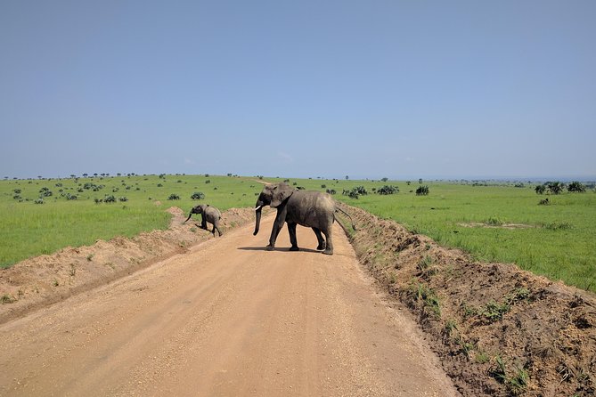 11 Days Uganda +Gorillas - The Sum Up