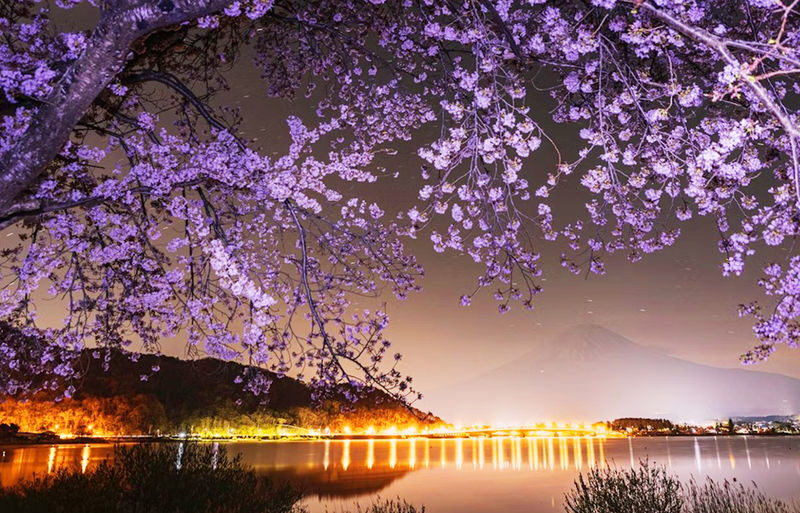 12:30 Departure - Mount Fuji with free dinner set - Kawaguchiko, Oishi Park, Oshino Hakkai, Illumination tour - Sunset, illumination and the evening mood