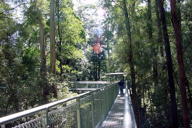 12 Apostles and Otway Fly Zipline Day Trip From Melbourne - Tour Pricing and Guarantee