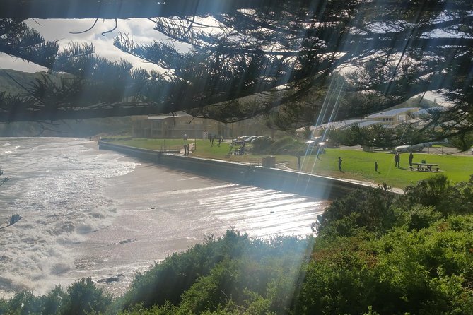 12 Apostles and Otway Fly Zipline Day Trip From Melbourne - Date and Traveler Information