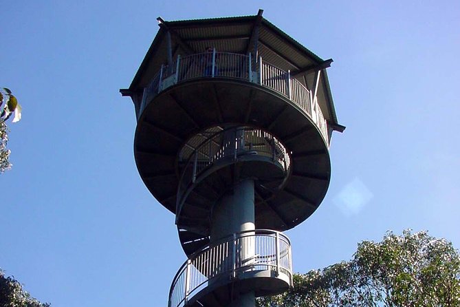 12 Apostles and Otway Fly Zipline Day Trip From Melbourne - Pickup Details