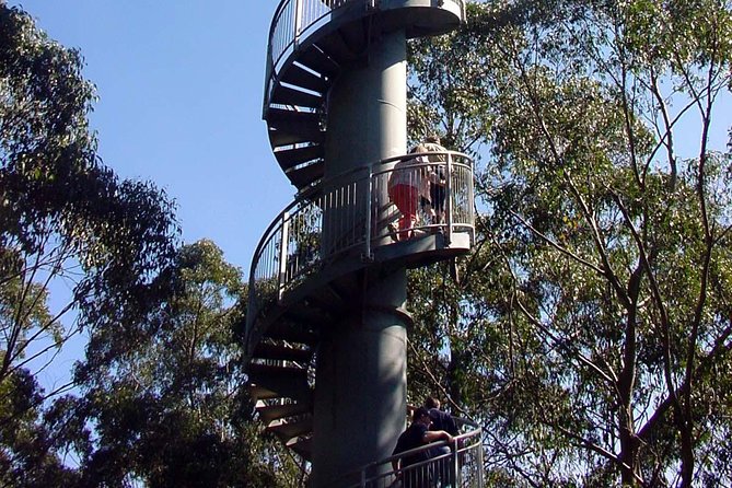 12 Apostles and Otway Fly Zipline Day Trip From Melbourne - Cancellation Policy